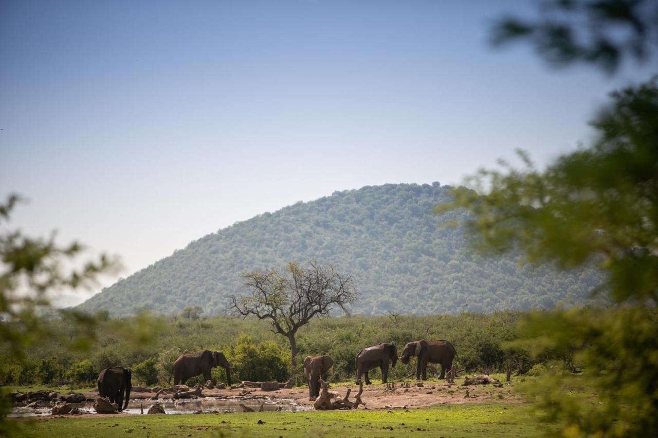 Вилла Jamala Madikwe Заповедник Мадикве Экстерьер фото