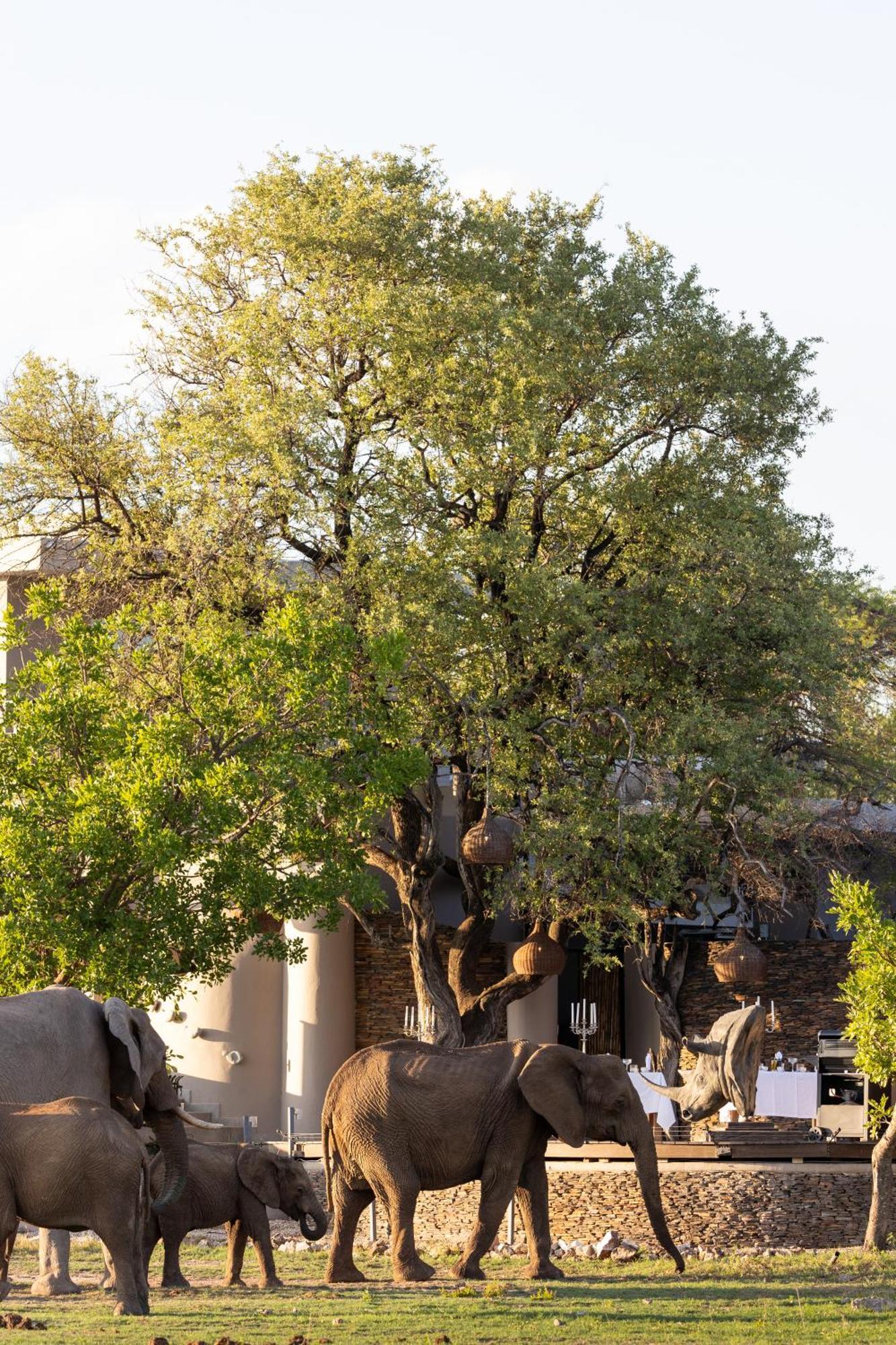 Вилла Jamala Madikwe Заповедник Мадикве Экстерьер фото