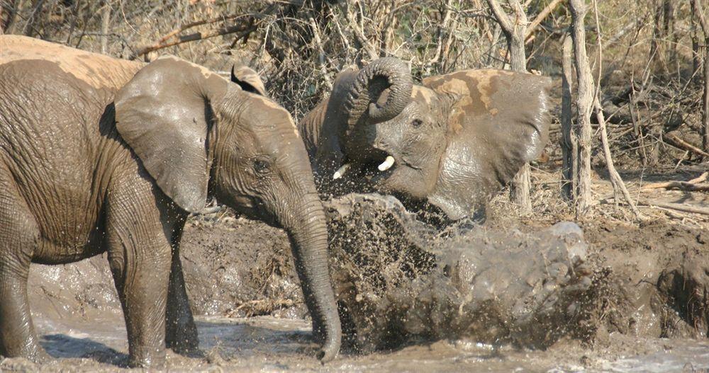 Вилла Jamala Madikwe Заповедник Мадикве Экстерьер фото